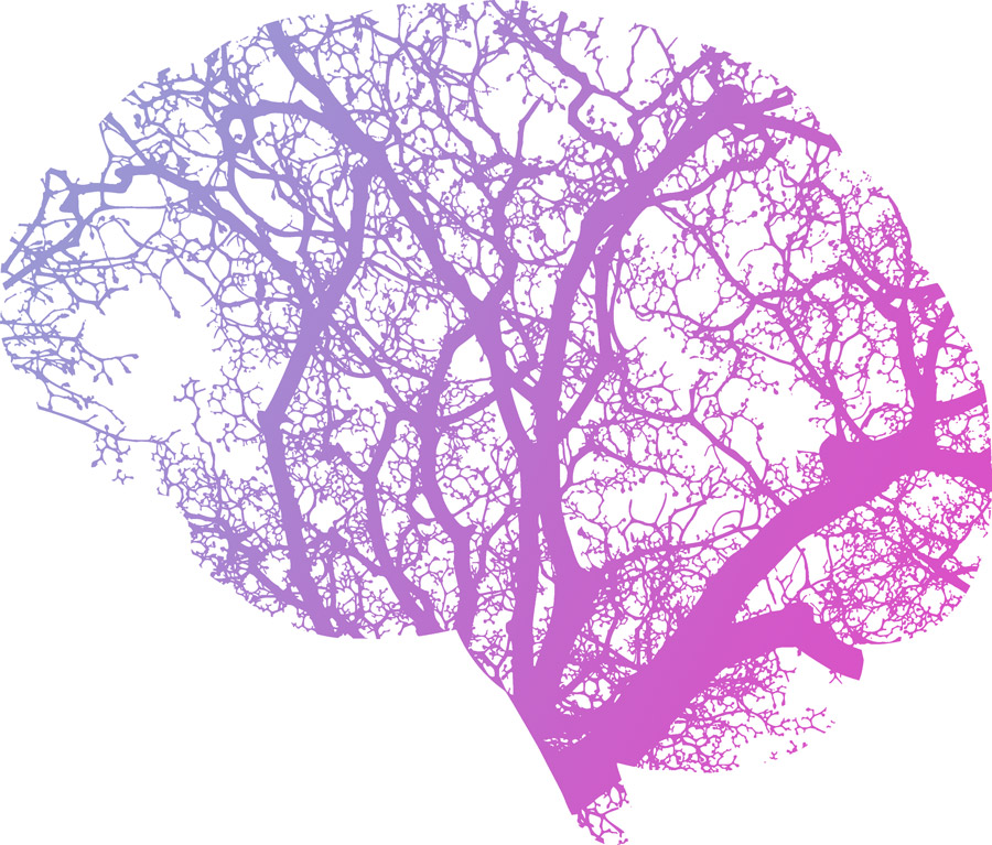 Kuvituskuva jossa aivojen muotoisessa tilassa on sini-violetti puun silhuetti.